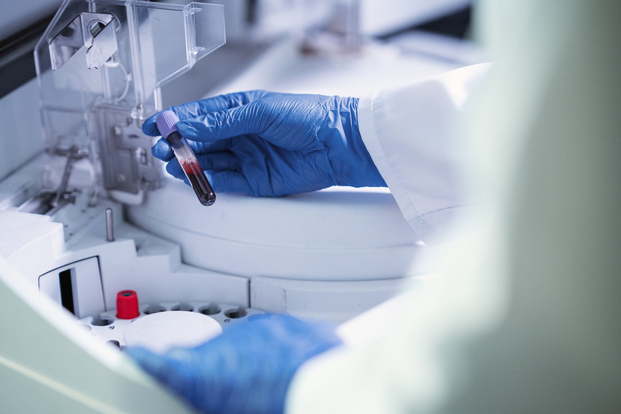 Laboratorio de Endocrinología y Biología de la Reproducción